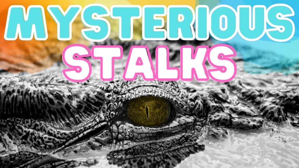 Mysterious Stalks